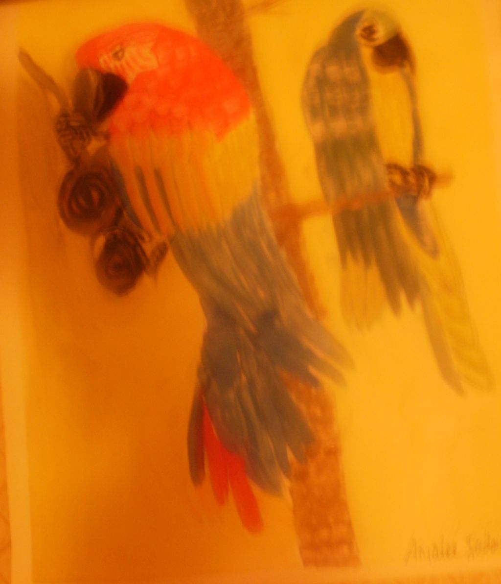 Watercolor Parrots