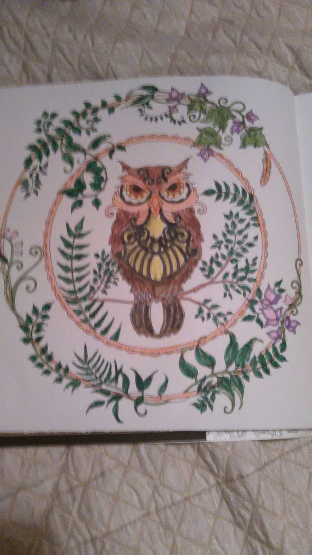 Enchanted Owl